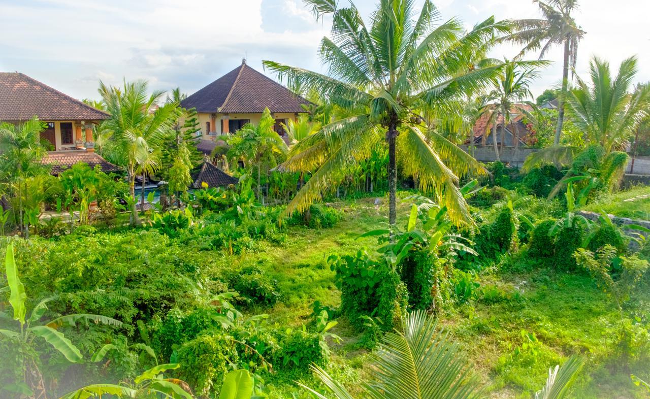 Semujan Bungalow Ubud  Ngoại thất bức ảnh